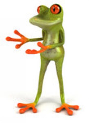 frog pointing at stationery products